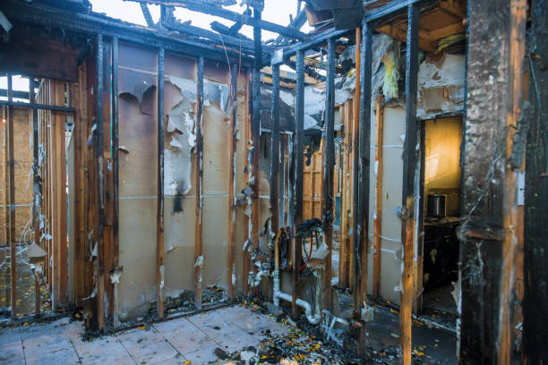 Professional Odor Removal technician working in Eureka, IL
